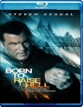 Отчаянный мститель / Born to Raise Hell